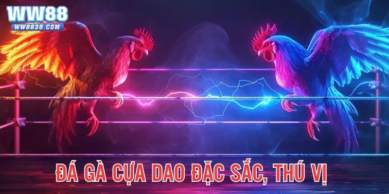 Trận đấu cựa dao thú vị, hấp dẫn từng giây từng phút