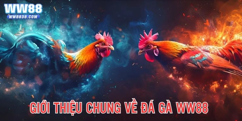 Giới thiệu chung về bộ môn đá gà WW88