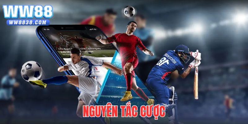 Lưu ý một số nguyên tắc cược quan trọng để hạn chế rủi ro