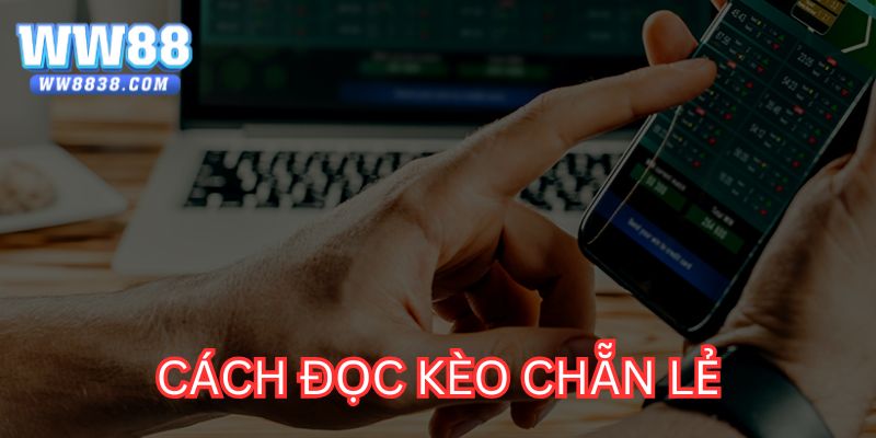 Đọc kèo chơi chẵn lẻ tại sảnh cược